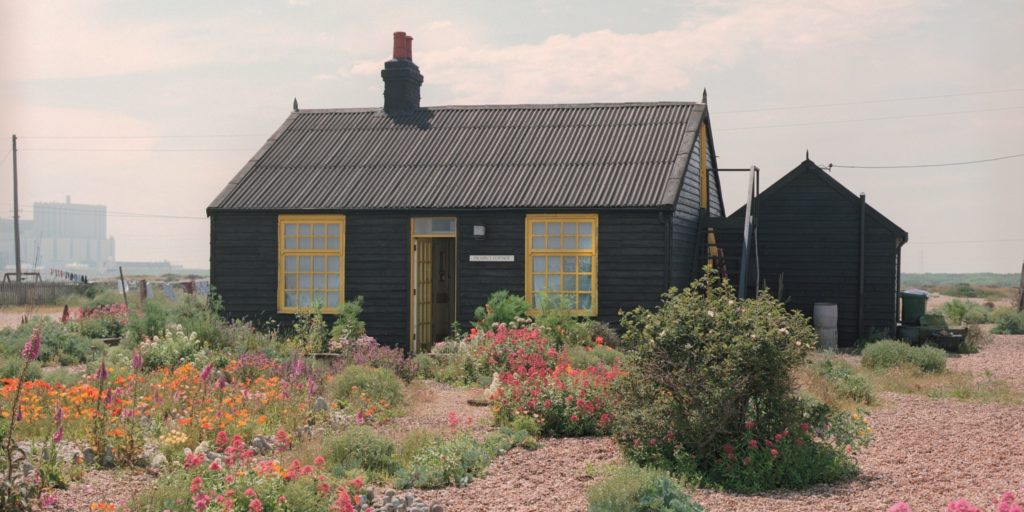 Read more about the article My Garden’s Boundaries are the Horizon